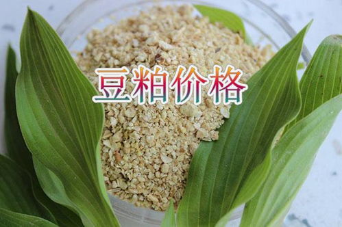 2026年5月山东日照豆粕价格是多少？近期豆粕价格有变动吗？