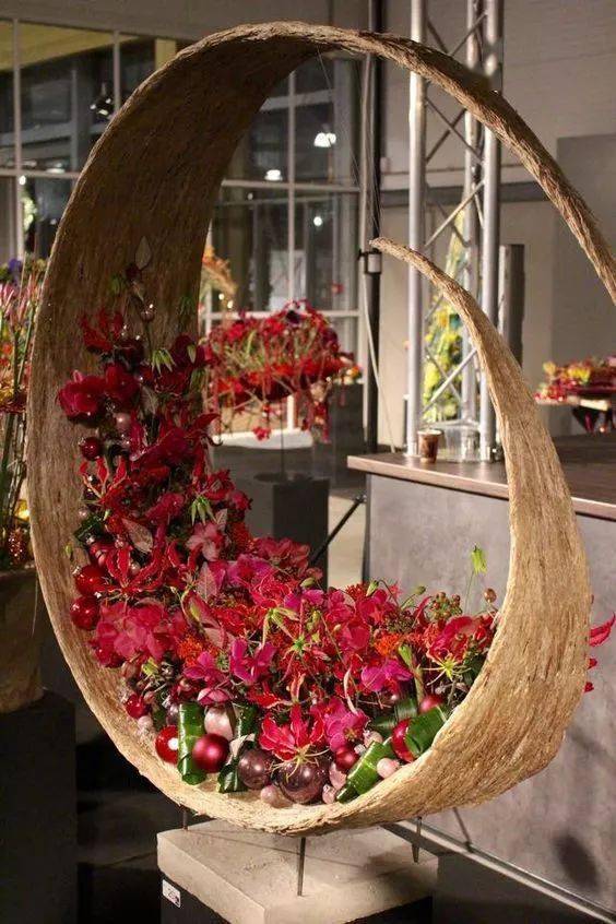 果材类植物的特殊价值