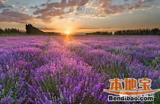 避暑胜地推荐，清凉一夏