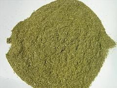松针粉一吨多少钱？喂鸡有哪些功效和作用？