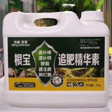 如何给室内植物补充营养？营养液施用方法有哪些