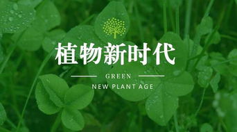 种子如何破土而出？图片揭秘植物发芽全过程