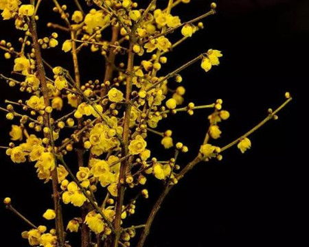 福建的阳光充足吗？