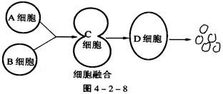 饲料蛋白含量过高会对养殖动物的生长和健康产生哪些负面影响？