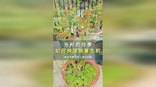 环境要改善，阳光要充足