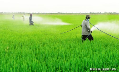 农药飘散，环境受影响？