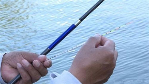 纯野钓，是选择台钓竿还是溪流竿