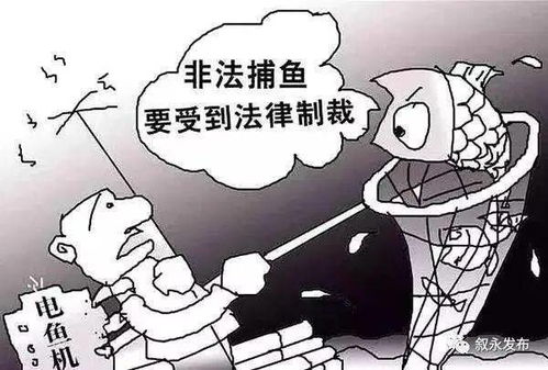防逃片用于防止人员非法逃离，确保场所安全