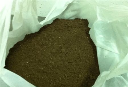 花卉细菌如何有效清除？