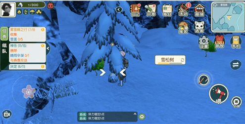 雪松的多样用途：不只是观赏那么简单