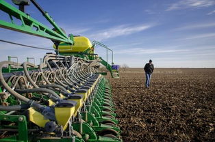 两种极端的观点