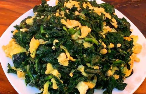 藏红花叶炒蛋，这叶子能吃吗