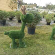 小动物们的乐园