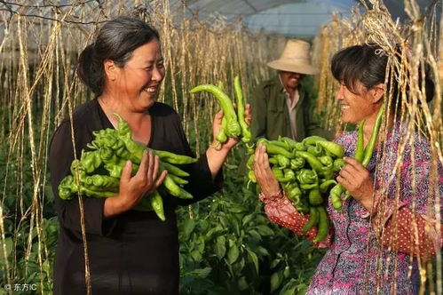 2025年西北旱灾中的应对方案