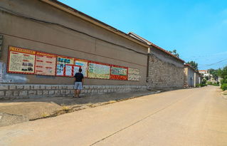 新泰市东dou镇：一个充满活力的乡镇