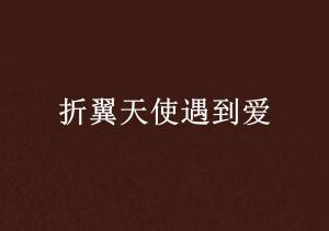 爱之翼，缘何相遇