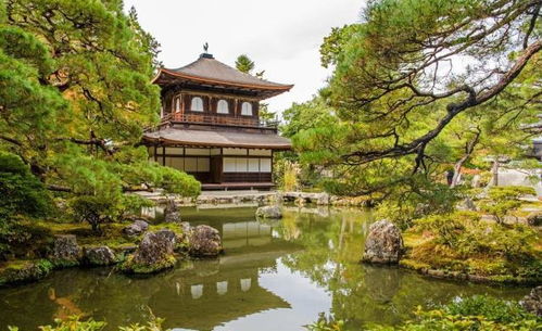 布局之道：不拘一格，各显神通