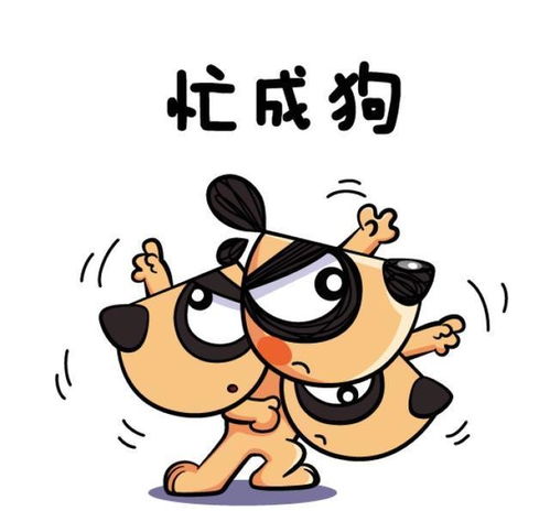 有没有补救措施？