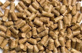 猪长期吃饲料和玉米面哪种对猪的健康和生长更有利？