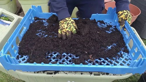 第一步：准备土壤，基础要打好