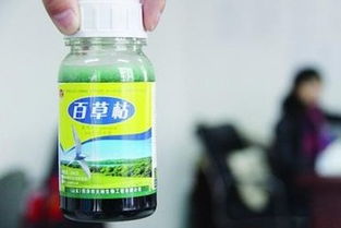 百草枯的快速触杀