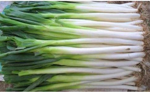 寻找那片微甜的叶子