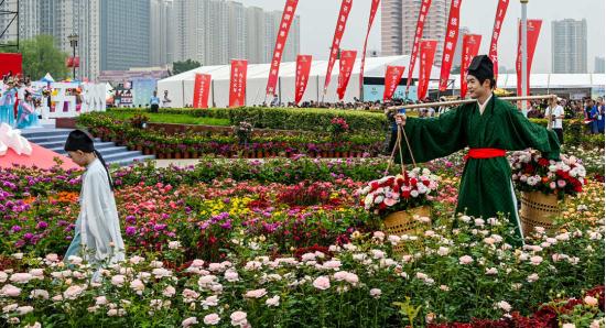 南阳月季大观园：花香四溢的世界月季名城