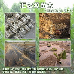 包装材料大揭秘