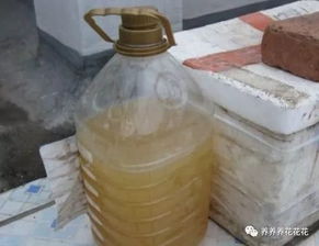 发酵时间，关键在掌握