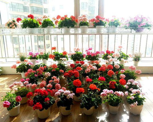 省钱小妙招：同一批种子，下午播种比早晨快