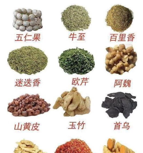 香草在香料、 美容、健康中的多重用途