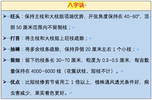 这些年堪多了种植户被坑，个人觉得**找合作社代销虽然少赚点，但省心**。