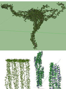 树木年轮增宽， 草坪密度提高