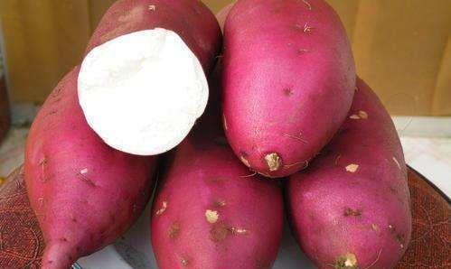 番薯的甘平之味， 健脾养生的秘密