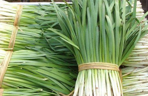 “常见蔬菜品种大盘点，你知道多少