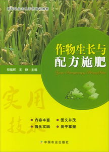 小麦锌肥精准施，作物潜能金钥匙