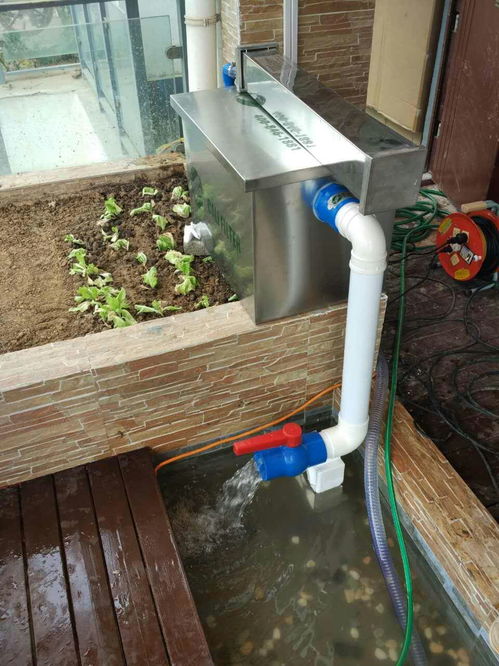 水质变浑浊处理