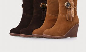 雪松价格及长年