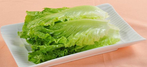 生菜种子从哪来？