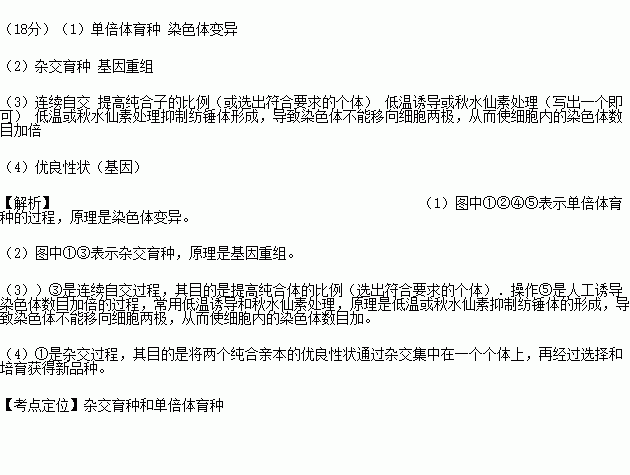 检测方法大揭秘