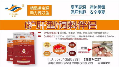 2026年海大猪饲料效果如何，价格表显示性价比高吗？
