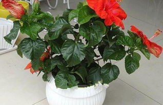 土壤，沃土育英才