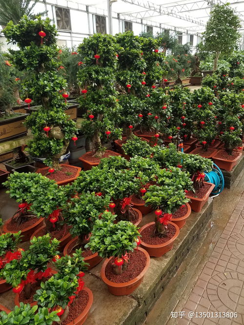 市场调研：了解市场需求