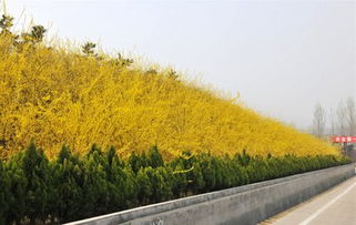 价格问题要综合考虑