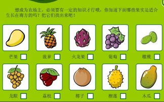 种子的成长日记