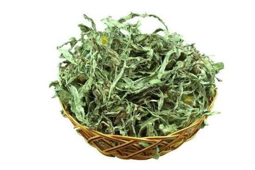 花叶灰尘怎么擦干净？用湿布轻拭
