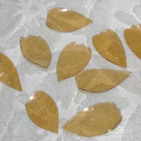 扫帚梅花从梅花到扫帚的演变过程是怎样的
