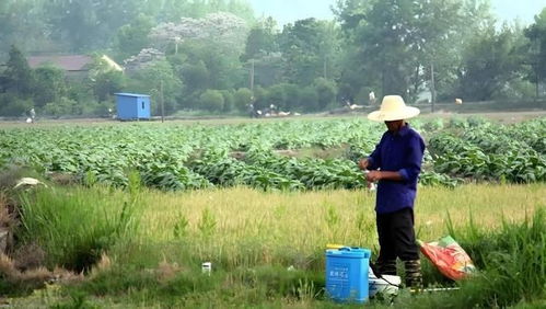 那得等多久呢？