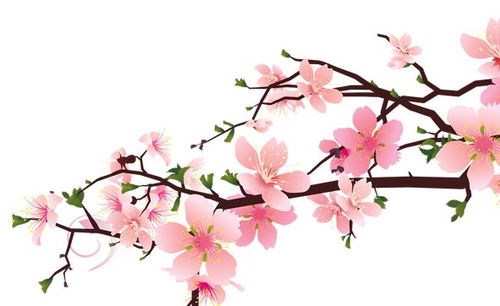 粉红桃花， 情感的多重映射