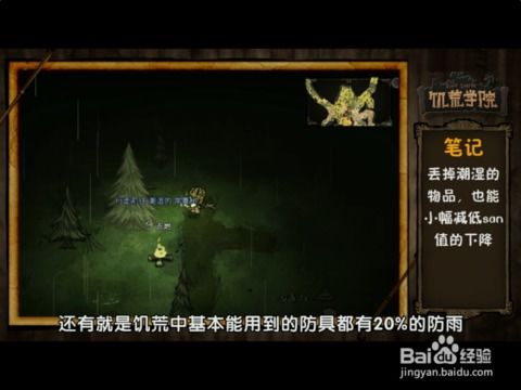 4. 叶菜类：白菜、 菠菜